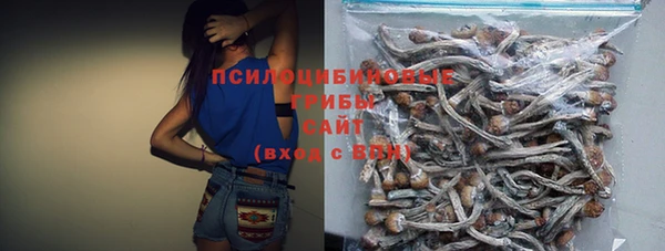 сатива Киреевск