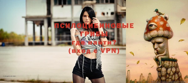 прущие грибы Киренск