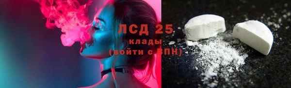 индика Лихославль