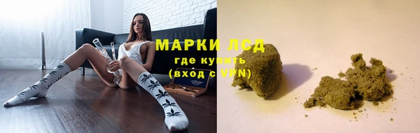 сатива Киреевск
