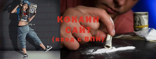 соль ск Каменка