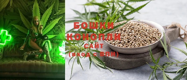 прущие грибы Киренск