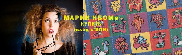 прущие грибы Киренск