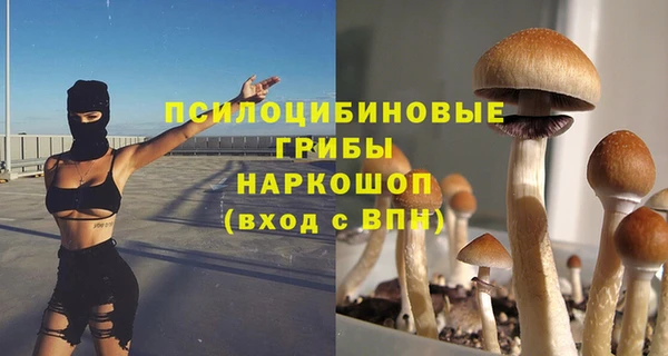 mix Козловка