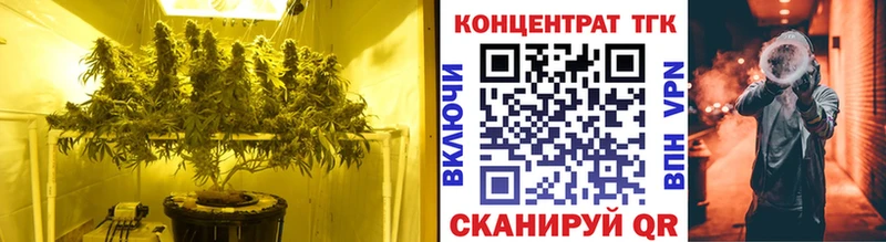 ОМГ ОМГ tor  Северодвинск  ТГК гашишное масло  купить  